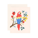 Macaw - Greeting Card-1