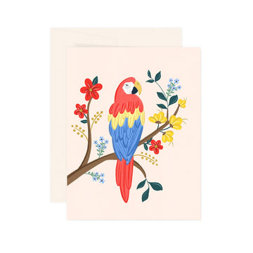Macaw - Greeting Card