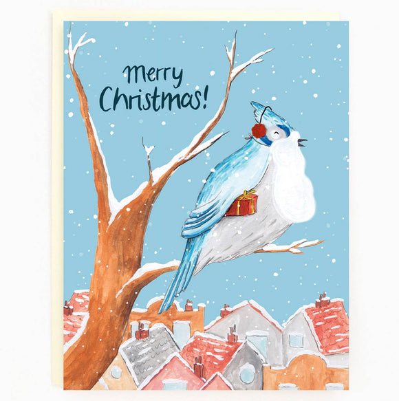 Holiday Blue Jay Box of 8