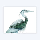"Standing Still" Great Blue Heron Watercolor Art Card-2