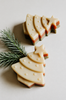 Evergreen Soap Bar: Holiday Collection-5