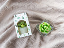 Succulent Tealight Candles | Soy Wax Blend-3