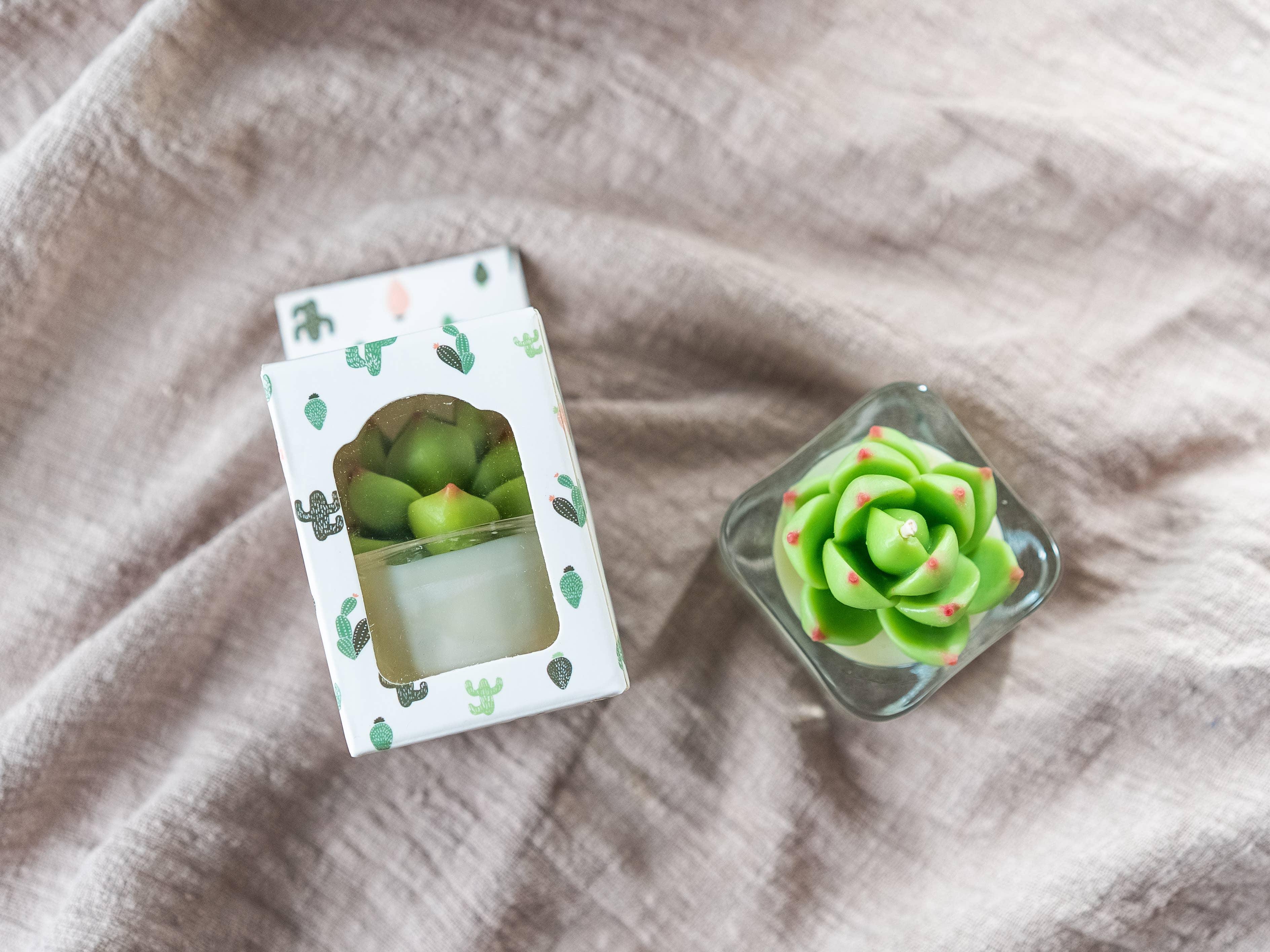 Succulent Tealight Candles | Soy Wax Blend