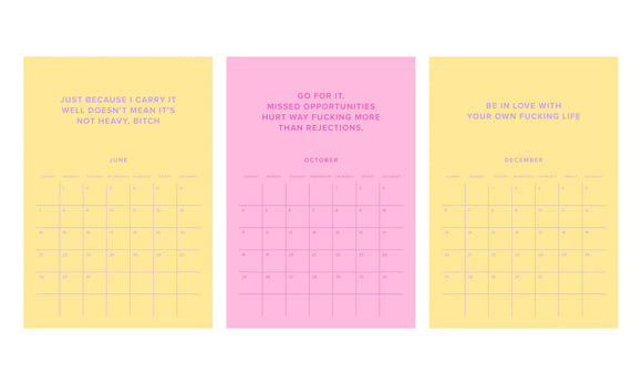 Babe You've Fucking Got This 2026 Calendar