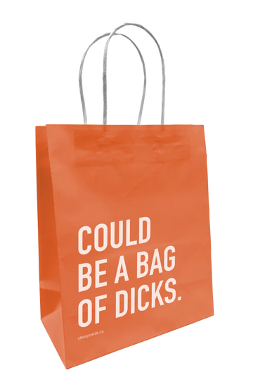 Bag of Dicks Gift Bag - Orange handmade gift bag with white twisted handles and bold white text saying "COULD BE A BAG OF DICKS.".