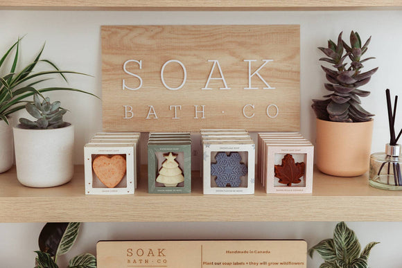 Evergreen Soap Bar: Holiday Collection