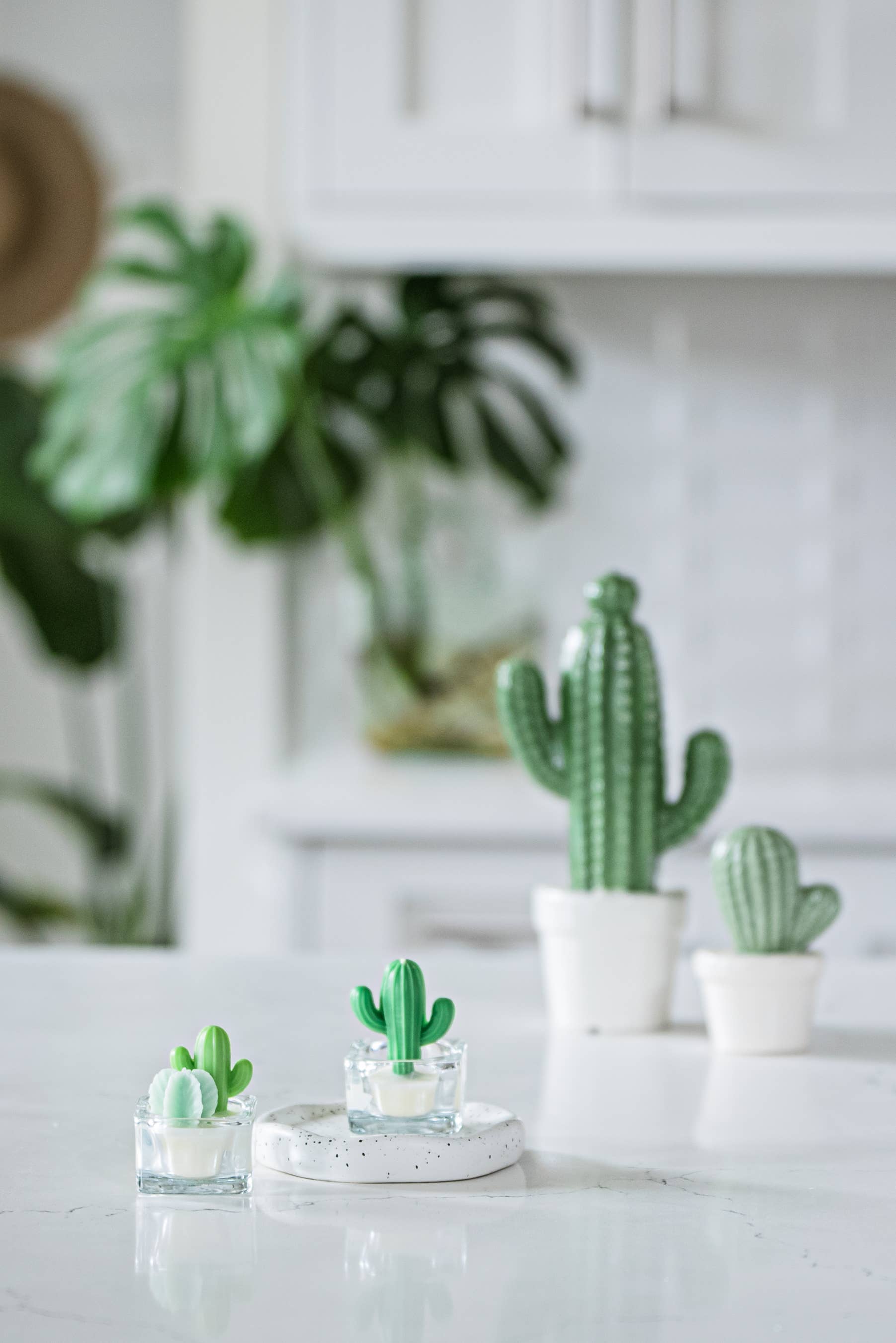 Cactus Tealight Candles | Soy Wax Blend