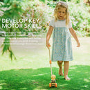 Honey Bee Push Along (Boxed)-2