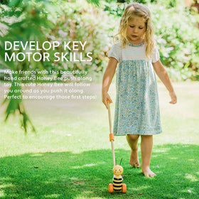 Honey Bee Push Along (Boxed) - 0