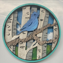 Bird Shadow Box Kit-5