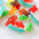 Colorful Animals - Gummy Candies-4
