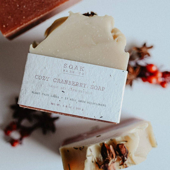 Cozy Cranberry Soap Bar