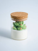 Succulent Soy Candle | Soy Blend-8