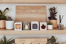 Evergreen Soap Bar: Holiday Collection-8