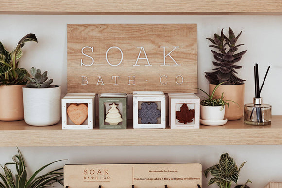 Evergreen Soap Bar: Holiday Collection