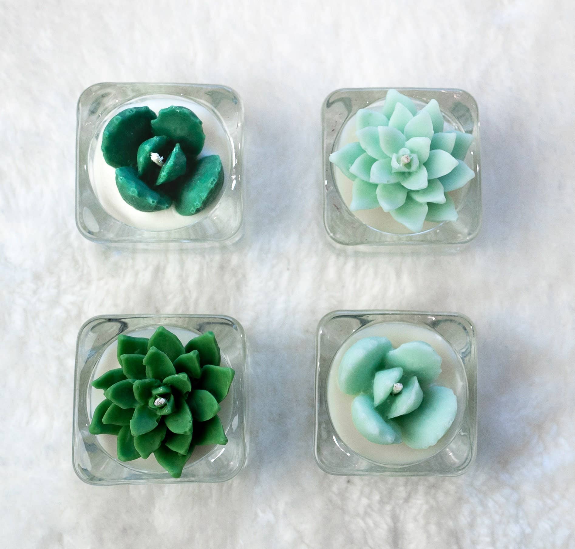 Succulent Tealight Candles | Soy Blend: Hens and Chick Succulent / Green