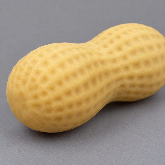 Peanut Squishy Toy – Crunchy Block Texture