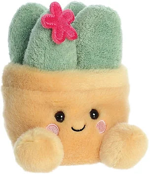 Palm Pals - Seyla Succulent