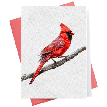 Cardinal | Christmas Greeting Card