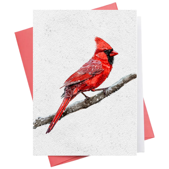 Cardinal | Christmas Greeting Card
