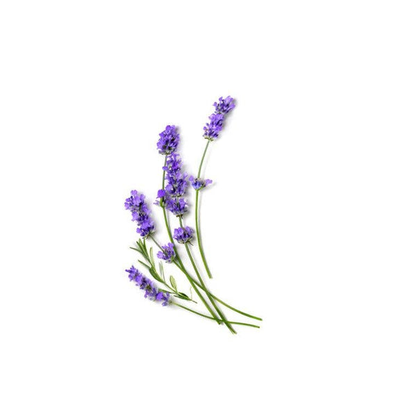 Lavender Eucalyptus Pocket Hand Sanitizer