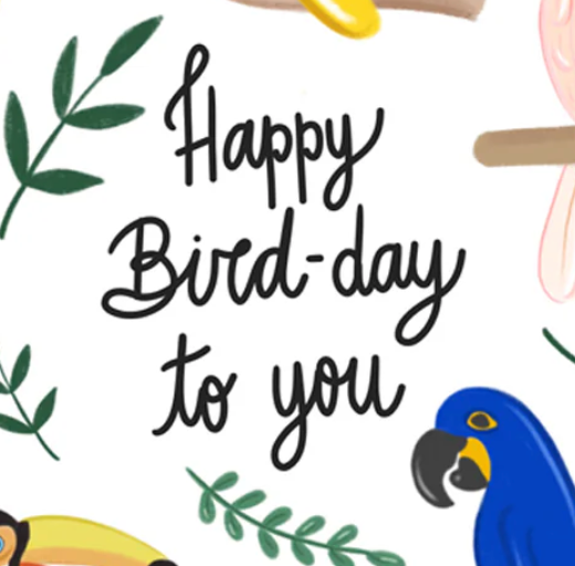 Birds Bird-Day - Greeting Card