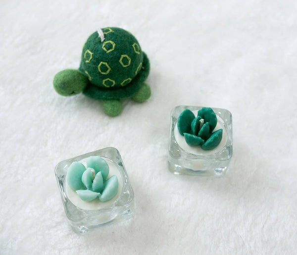 Succulent Tealight Candles | Soy Blend: Hens and Chick Succulent / Green