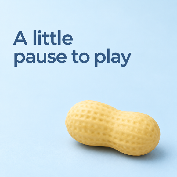 Peanut Squishy Toy – Crunchy Block Texture