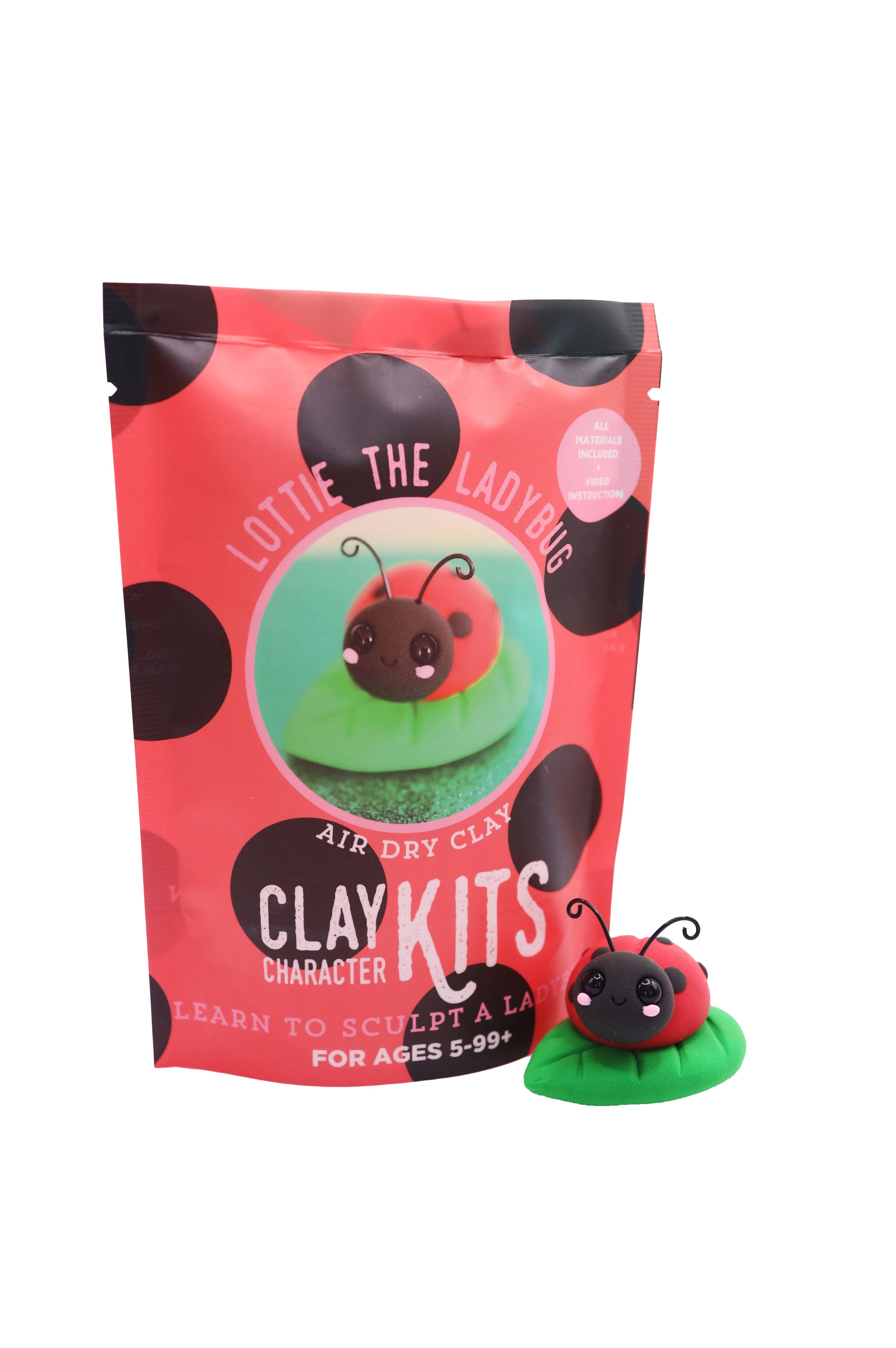 Lottie the Ladybug DIY Air Dry Clay Kit | Arts & Craft Kit | Caribou ...