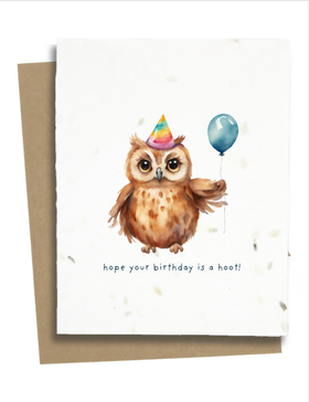 Funny Owl Birthday Wishes