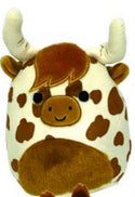 Brown cow with bangs
