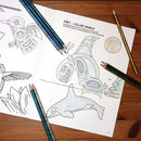 Metallic Coloured Pencils - Feather - Metallic colored pencils in blue, green, and gold beside Indigenous art whale coloring pages on wood surface.
