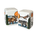 Salt & Pepper Shaker Set - All My Relatives (Indinawemaaganidag)-1
