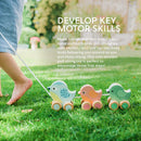 Pull Along Birdies-3