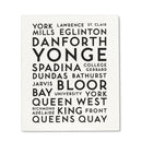 Toronto Streets Dishcloths. Set of 2-5