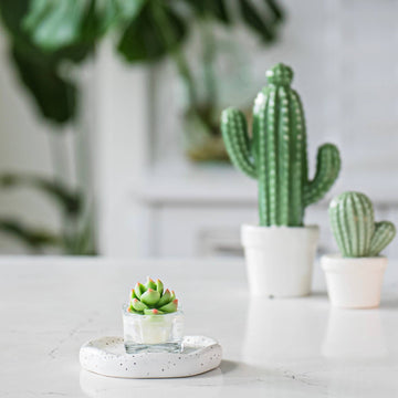 Succulent Tealight Candles | Soy Wax Blend - Handmade Canadian succulent tealight candle in clear glass with white terrazzo holder, unique gift.