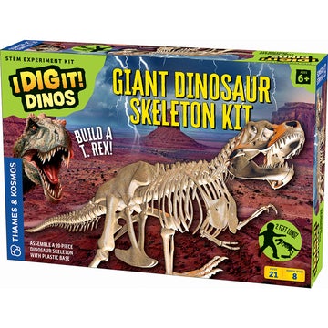 Giant Dinosaur Skeleton Kit