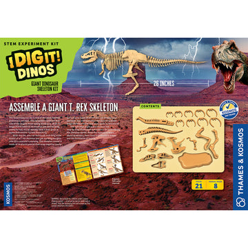 Giant Dinosaur Skeleton Kit