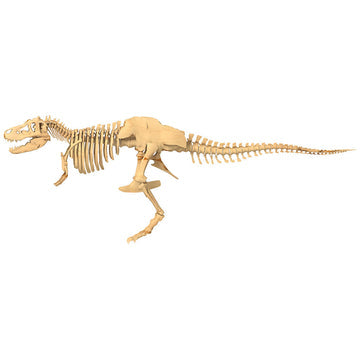 Giant Dinosaur Skeleton Kit