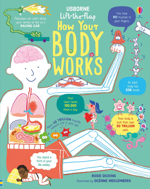 Lift the Flap How Your Body Works (Book)