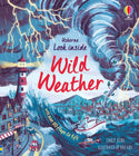 Look Inside Wild Weather (Lift-the-Flap Book)