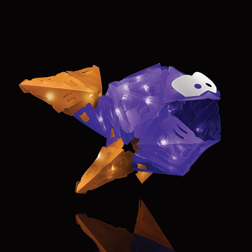 Creatto Flashy Fish & Silly Swimmers