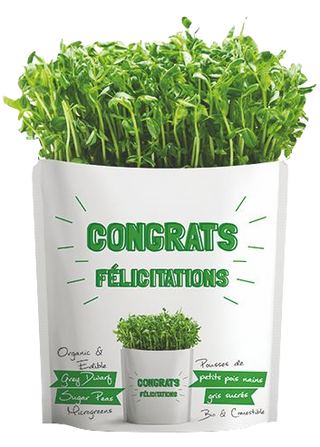 Gift-a-Green | Congrats | Sugar Peas Microgreens