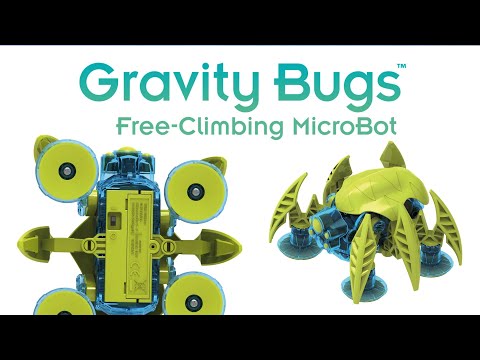 Gravity Bugs-4