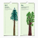 Epic Trees Birthday Calendar | The Paperhood - Handmade Canadian birthday calendar featuring detailed tree illustrations, unique gift idea.