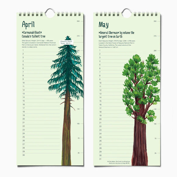 Epic Trees Birthday Calendar | The Paperhood - Handmade Canadian birthday calendar featuring detailed tree illustrations, unique gift idea.