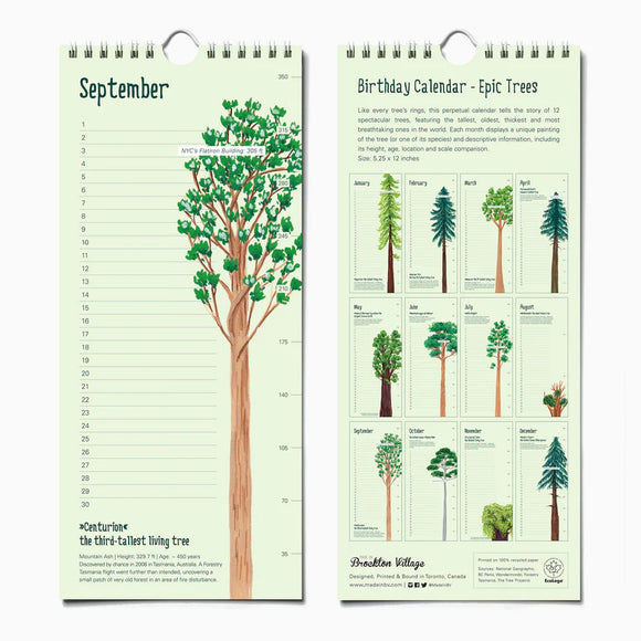 Epic Trees Birthday Calendar | The Paperhood - Epic Trees birthday calendar with illustrated green trees, handmade Canadian gift with unique design.